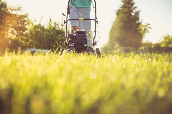 Entreprise pour réaliser des petits travaux de jardinage à Sainte-Marie 974 