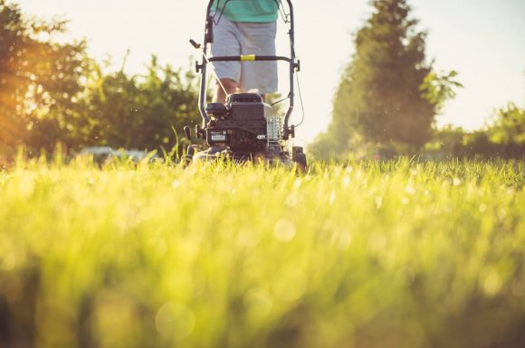 Tonte de pelouse et nettoyage de jardin par un professionnel - Sainte-Marie - Run Services - SAP