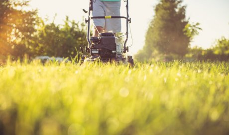 Entreprise pour réaliser des petits travaux de jardinage à Sainte-Marie 974 