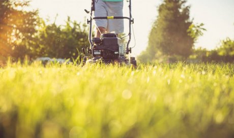 Tonte de pelouse et nettoyage de jardin par un professionnel - Sainte-Marie - Run Services - SAP